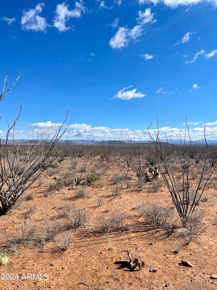 TBD W 39 918 Ac Lot 23 -- W Unit 23, Douglas, AZ 85607