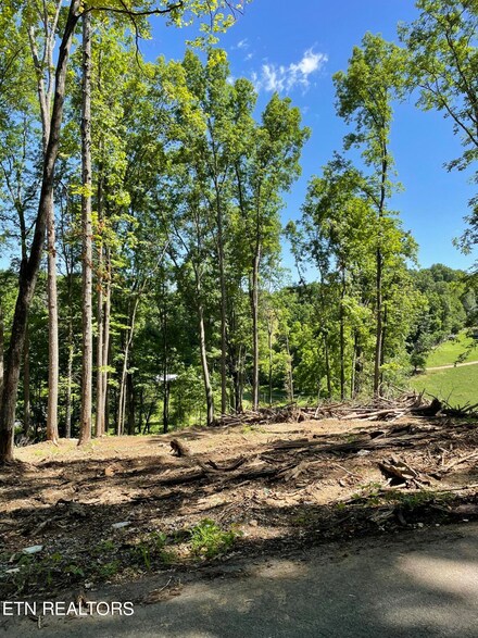 0 Holt Ridge Rd, Tazewell, TN 37879