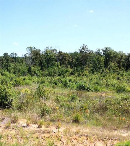 6 Lebleu Rd, Leesville, LA 71446