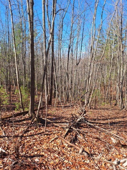 0 W Perch Unit 350461, Monroe, VA 24574