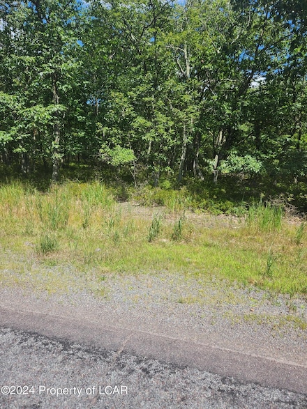 Lot 078 Buttonbush Ln, Hazle Township, PA 18202