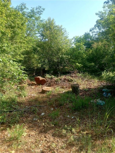 115 Elm St, Griffin, GA 30223