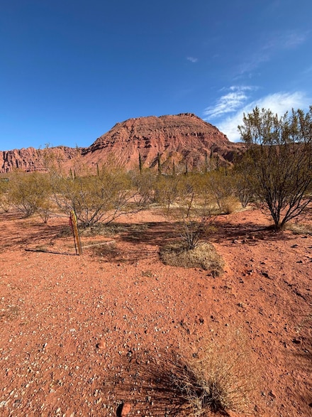 539 N Bur Sage Trail, Ivins, UT 84738