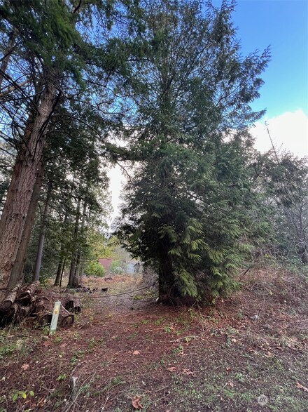 0 Lot 4 Drake Ave, Point Roberts, WA 98281