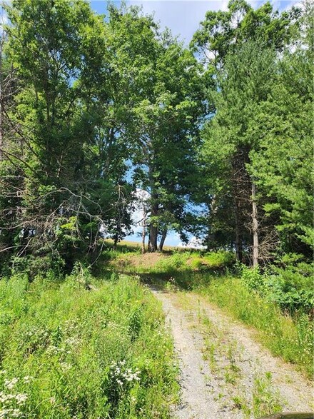 61 Sheriff Rd, Sparta, NC 28627