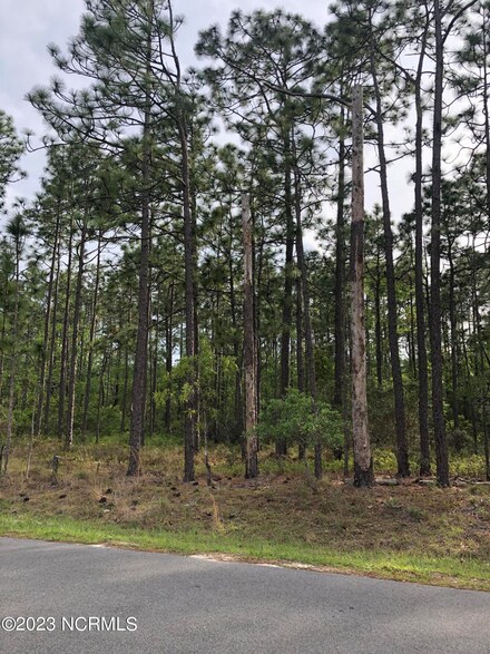 Lot-4 Beaufort Rd, Boiling Spring Lakes, NC 28461