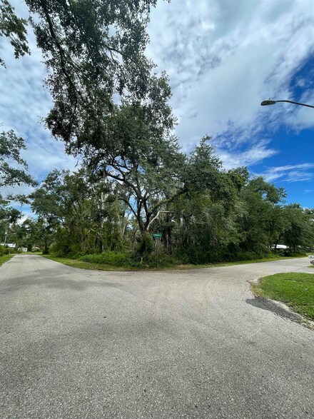 109 El Primeros Dr, Perry, FL 32347