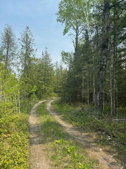 0 Michigan 134, Hessel, MI 49745