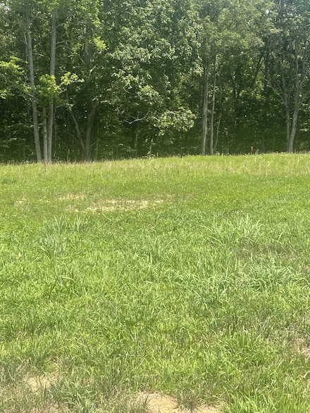 0 Summerlake Ct Unit RTC2936673, Winchester, TN 37398