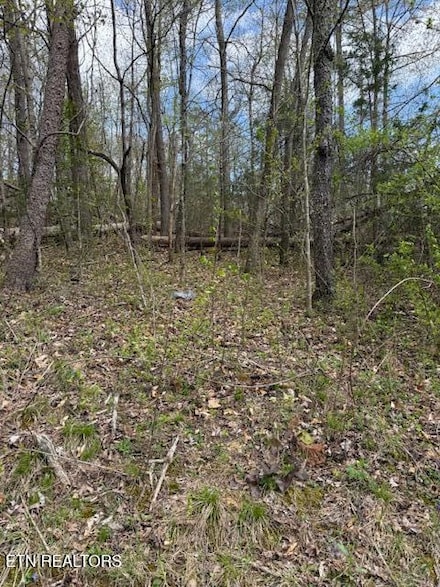 0 Clear Springs Rd, Harriman, TN 37748