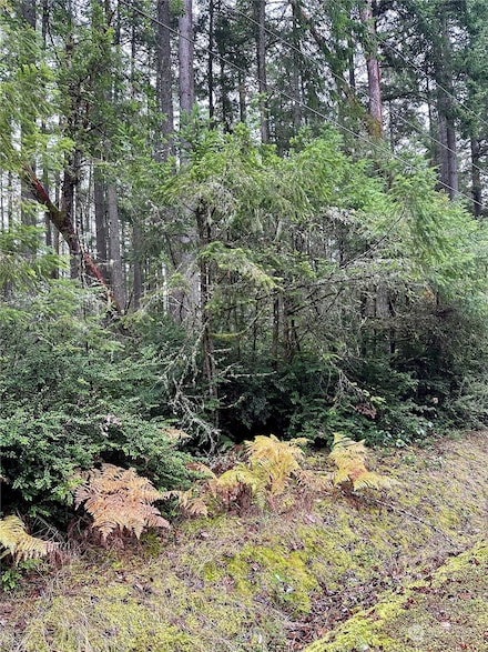 9521 115th Avenue Ct, Anderson Island, WA 98303