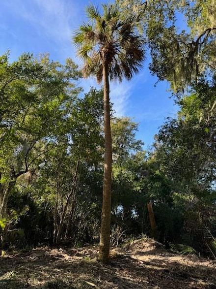 546 Oristo Ridge, Edisto Beach, SC 29438