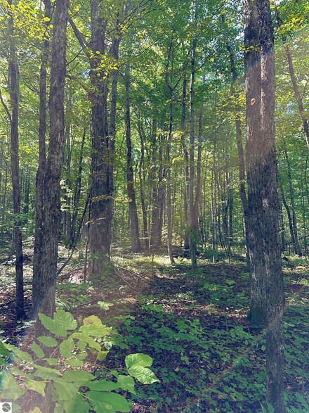 000 Woodland Dr NE, Coldsprings Township, MI 49646