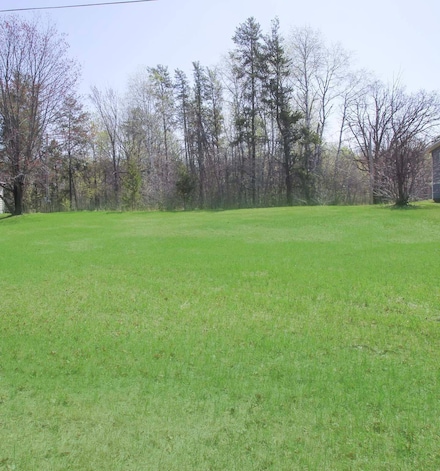 14320 Buley Ave, Oak Lawn Township, MN 56401
