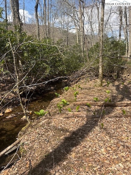 TBD Bald Mountain Rd, West Jefferson, NC 28694