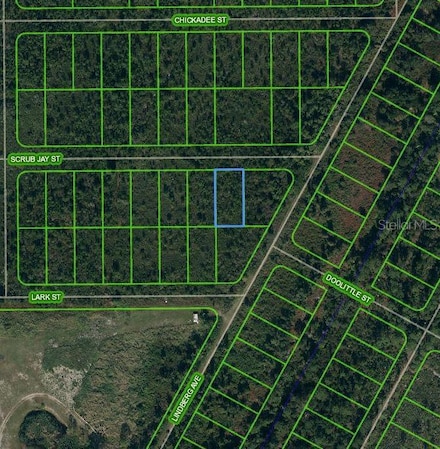 1435 Scrub Jay St, Lake Placid, FL 33852