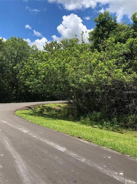 Lot 160 Frost Dr, Orlando, FL 32820