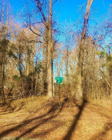 Lots 200 Cove Ct, Montross, VA 22520