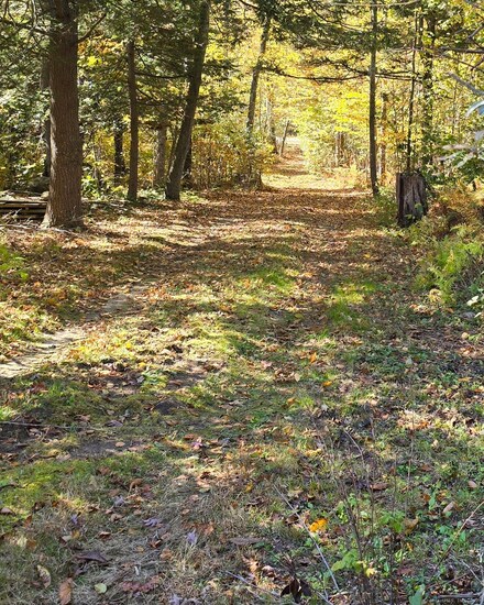 0 Al Harvey Rd, Stonington, CT 06378