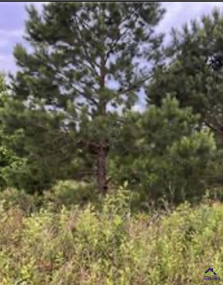 V/L Sandy Dr, Hawkinsville, GA 31036