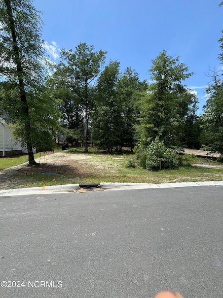 3709 Barnesmore Dr, Castle Hayne, NC 28429
