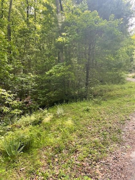 0 Mccormick Dr Unit 7568882, Dawsonville, GA 30534