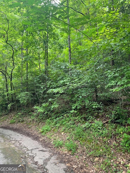 LOT 12 Kilpatrick Point Terrace, Hayesville, NC 28904