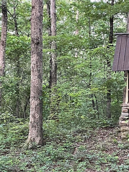 868 Watson Rd, Clinton, AR 72031