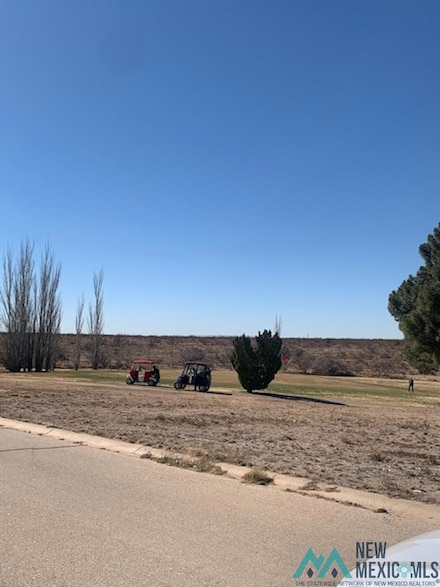 1202 Ridgecrest Dr, Carlsbad, NM 88220