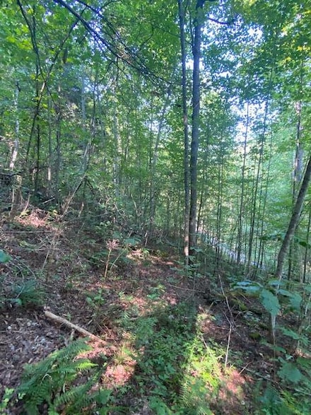 Lot 383 E Obey Ln, Wilder, TN 38589