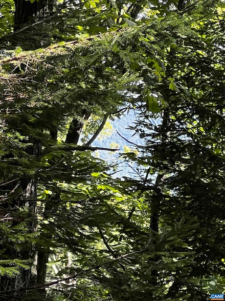 TBD Shamokin Springs Trail, Wintergreen Resort, VA 22967