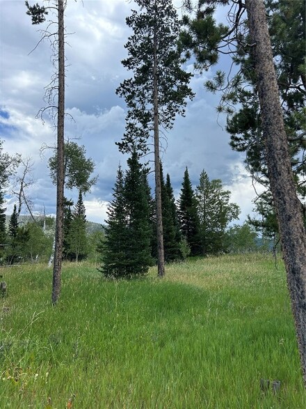 tbd Halter Trail, Oak Creek, CO 80467