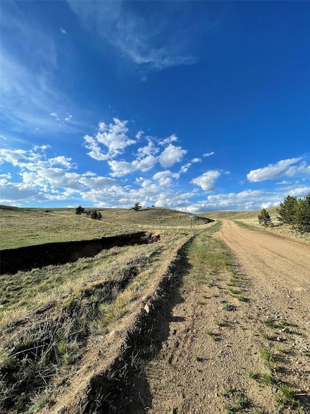 691 Cathy Dr, Hartsel, CO 80449