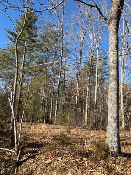 TBD Friels Dr, Covington, VA 24426