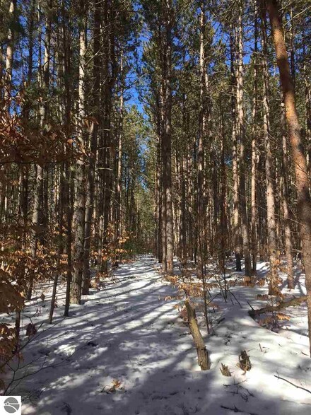 2693 N Carmean Rd, Interlochen, MI 49643