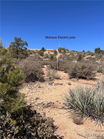 Lot 065 N Deer Meadow Ln, Hackberry, AZ 86411