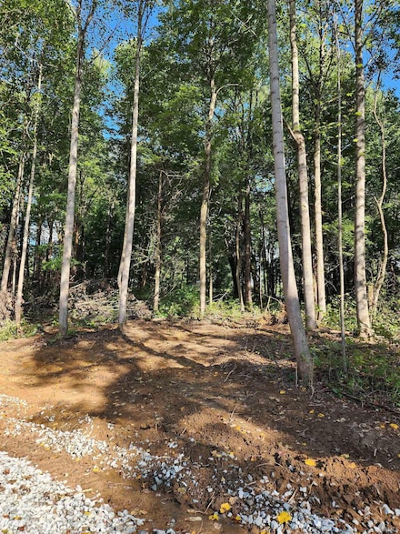 Tract 3 Port Williams Rd, Williams, IN 47470