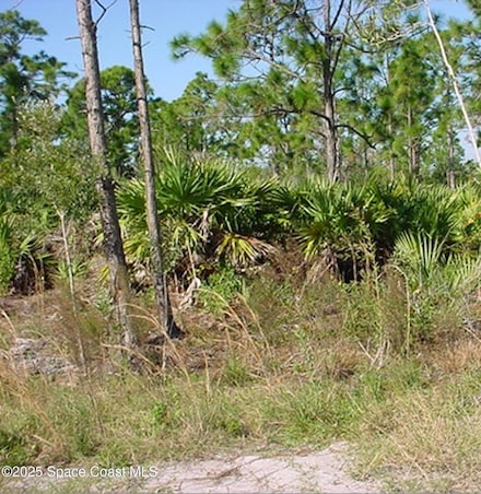 0000 Unknown Rd, Malabar, FL 32950