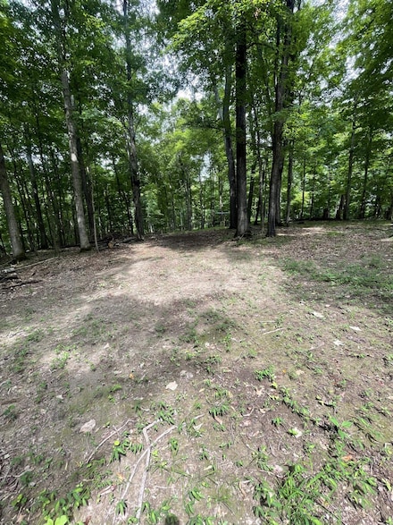 Lot 1 Moore Rd, Lavalette, WV 25535