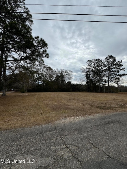 0 George Mitchell Rd, Carriere, MS 39426