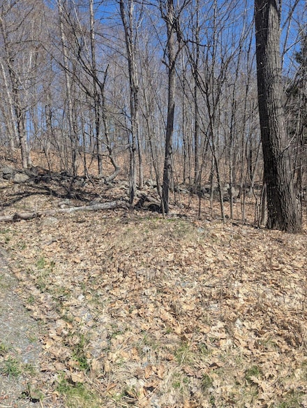 M9 L7 Finson Rd, Saint Albans, ME 04971