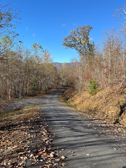 41 42 43 Ridges Overlook, Hayesville, NC 28904
