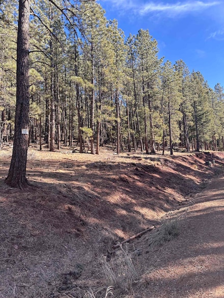 Lot 88 Mammoth Mountain Rd, Angel Fire, NM 87710