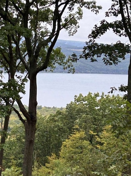 0 Satterly Hill Rd Unit R1588131, Hector, NY 14818