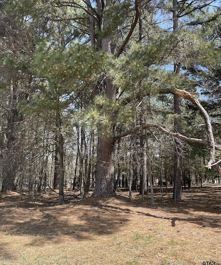 TBD County Road 2432, Pittsburg, TX 75686