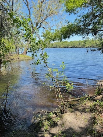 14 NE 824th St, Old Town, FL 32680