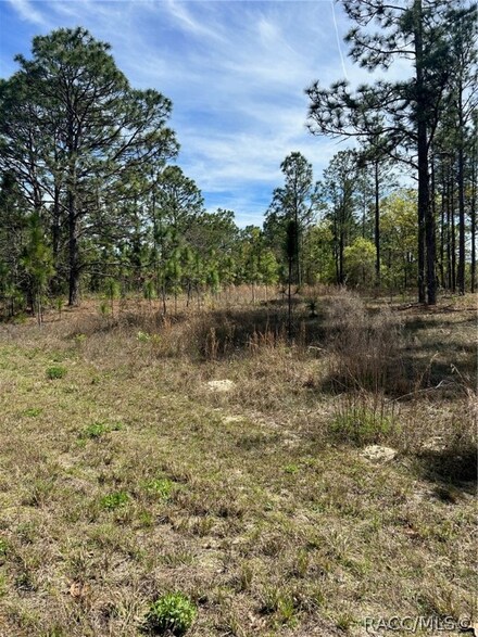2032 W Corrine St, Citrus Springs, FL 34434