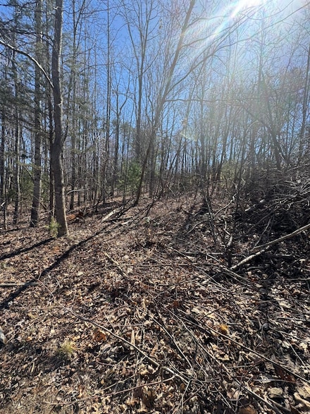 Lot 7A Navajo Cir, Henry, VA 24102