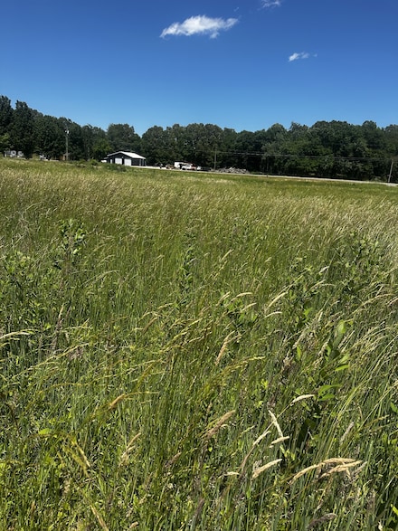 0 L P Bradford Rd, Estill Springs, TN 37330