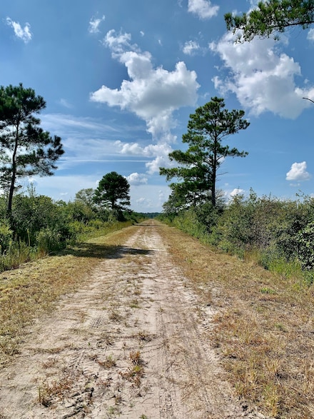 0 N Carolina 241, Pink Hill, NC 28572